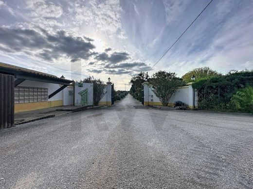 Luxury home in Benavente, Distrito de Santarém