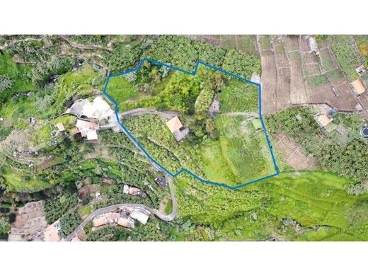 Câmara de Lobos, Madeiraの高級住宅