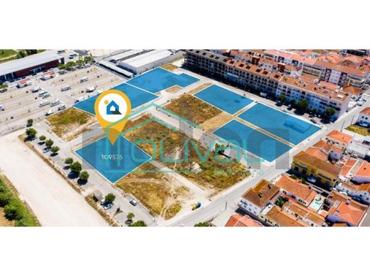 Terrain à Coruche, Distrito de Santarém