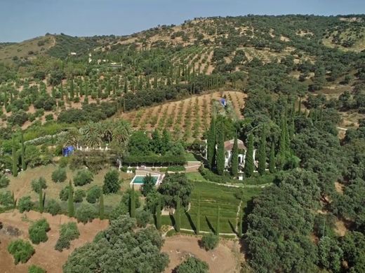 Demeure ou Maison de Campagne à Ronda, Malaga