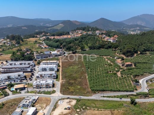 Участок, Castelo de Paiva, Distrito de Aveiro