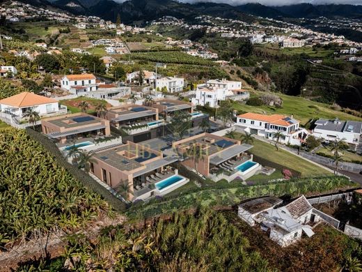 Maison de luxe à Calheta, Madère