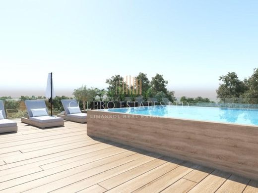 Daire Germasógeia, Limassol District