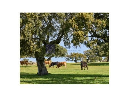 Boerderij in Coria, Provincia de Cáceres