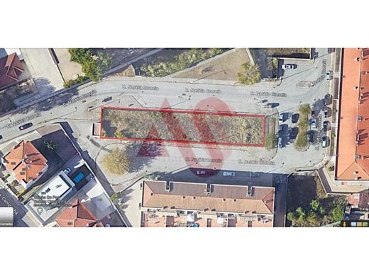 토지 / 포르투, Porto