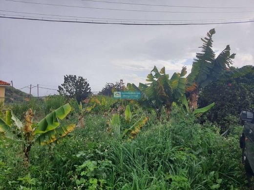 Land in Funchal, Madeira