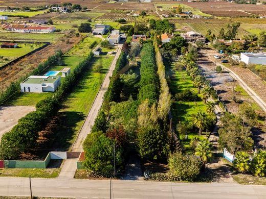 Maison individuelle à Palmela, Distrito de Setúbal