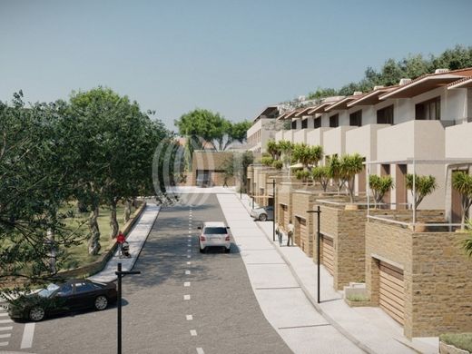 Teren w Faro, Distrito de Faro