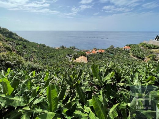 Land in Calheta, Madeira