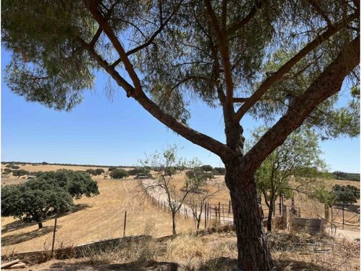 Farm in Beja, Distrito de Beja