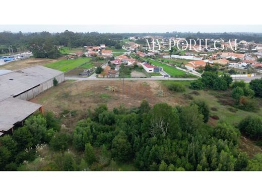 Arsa Mira, Distrito de Coimbra