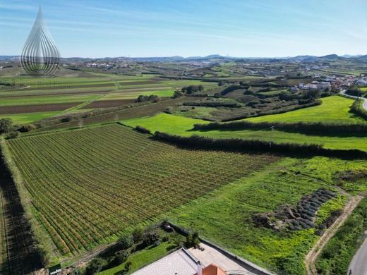 Αγροτεμάχιο σε Torres Vedras, Distrito de Lisboa