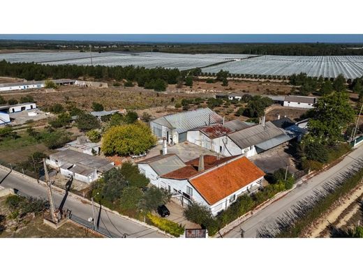 Πολυτελή κατοικία σε Montijo, Distrito de Setúbal