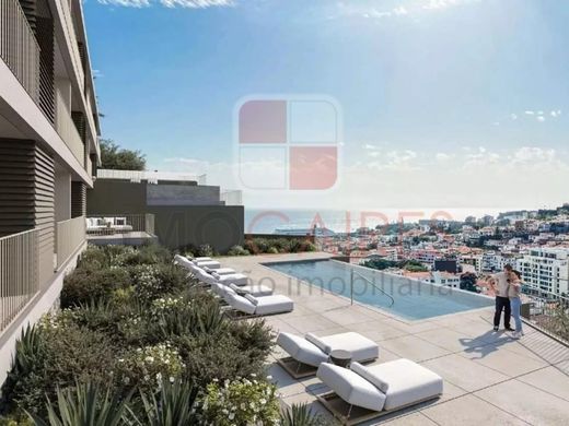 호화 저택 / Funchal, Madeira