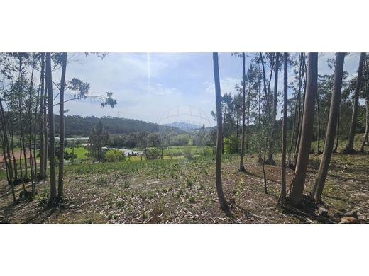 Teren w Sintra, Distrito de Lisboa