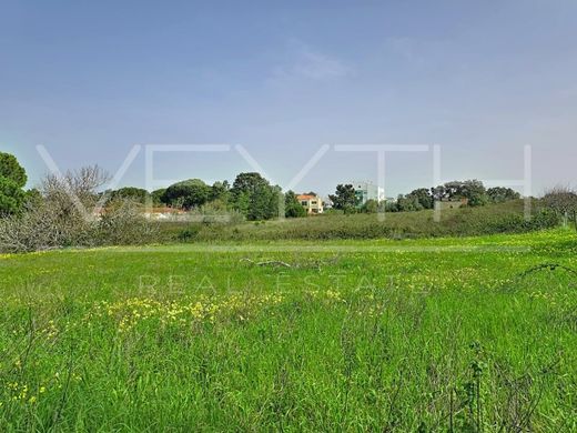 Land in Sesimbra, Distrito de Setúbal