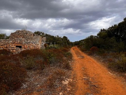 Land in Sant Lluís, Province of Balearic Islands