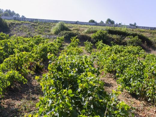 Участок, Торреш, Torres Vedras