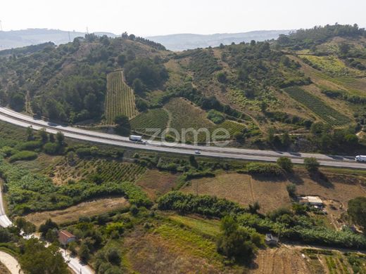 Land in Torres Vedras, Lisbon
