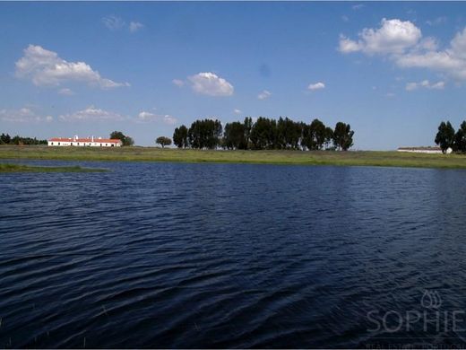 Farma w Évora, Distrito de Évora