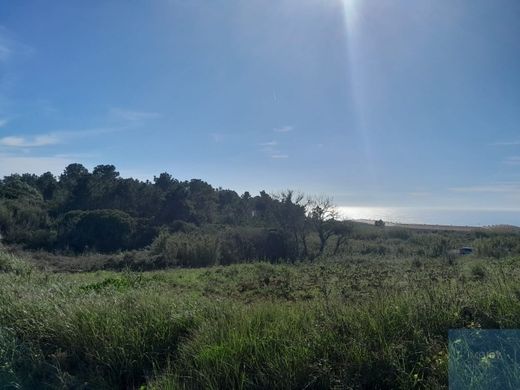 Land in Mafra, Lisbon