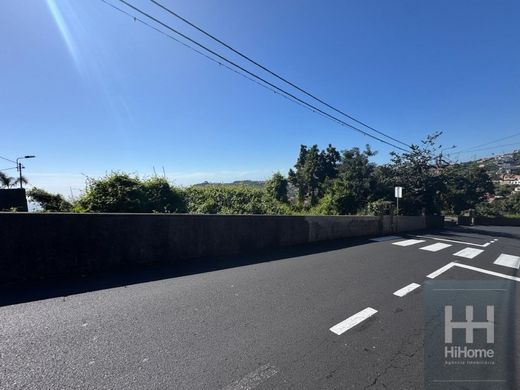 Arsa Funchal, Madeira