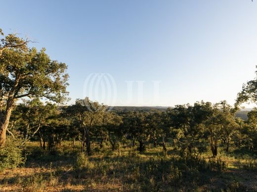 Land in Santiago do Cacém, Distrito de Setúbal