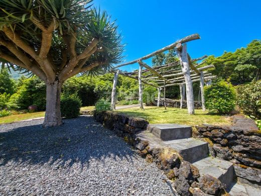 Элитный дом, Сан-Роке-ду-Пику, São Roque do Pico