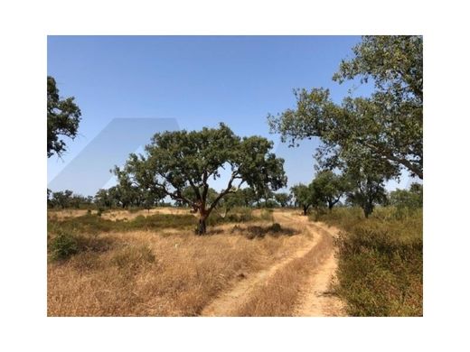 Grond in Grândola, Distrito de Setúbal