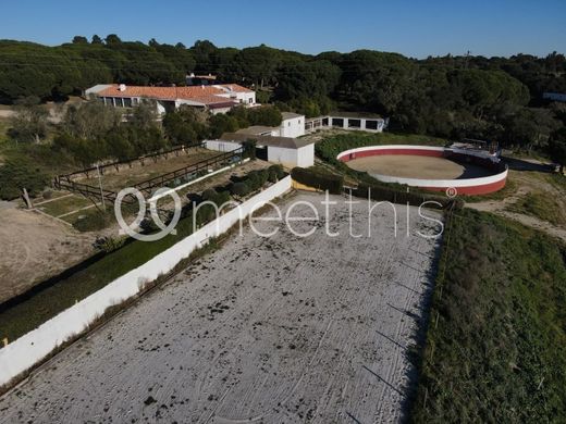 Luxury home in Benavente, Distrito de Santarém