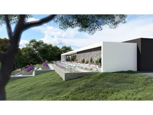 Участок, Лола, Loulé