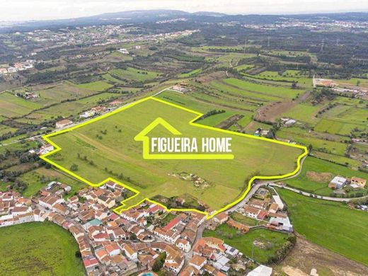 Figueira da Foz, Distrito de Coimbraの土地