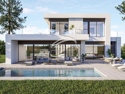 Villa in Pinoso, Alicante