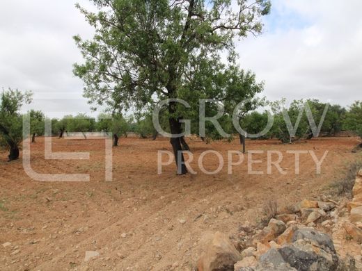 Terrain à Faro, Distrito de Faro