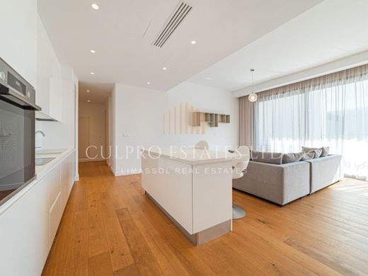 Daire Limasol, Limassol District