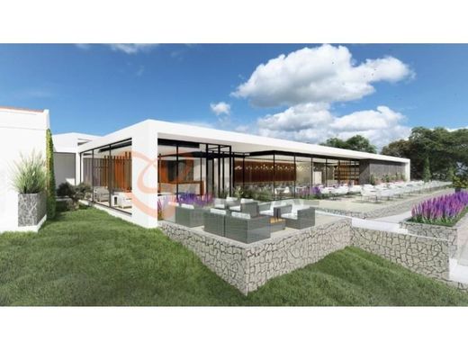 Αγροτεμάχιο σε Loulé, Distrito de Faro