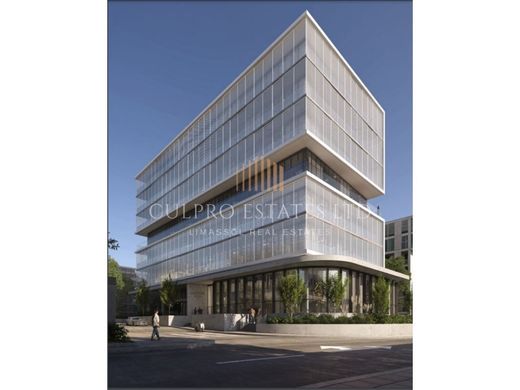 Limassol, Limassol Districtのオフィス