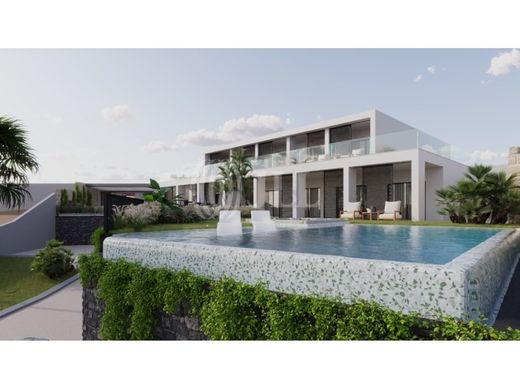 호화 저택 / Funchal, Madeira