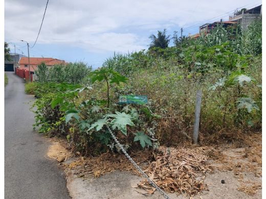 Land in Funchal, Madeira