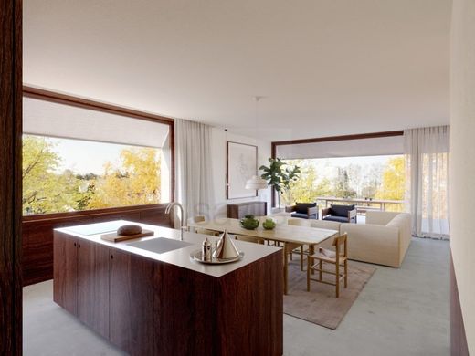 Daire Porto, Distrito do Porto