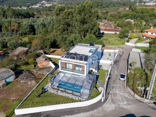 Luxus-Haus in Viseu, Distrito de Viseu