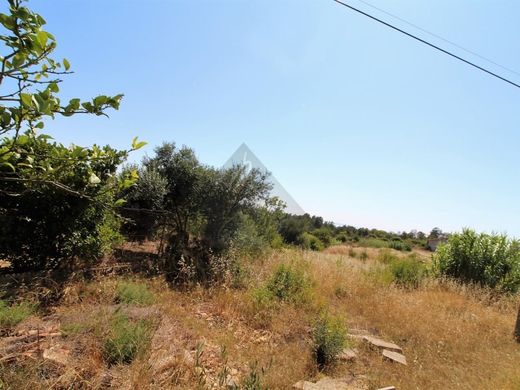 Terreno - Lagoa, Faro