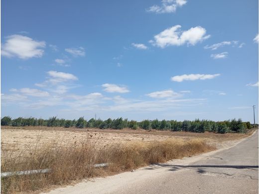 Αγροτεμάχιο σε Montijo, Distrito de Setúbal