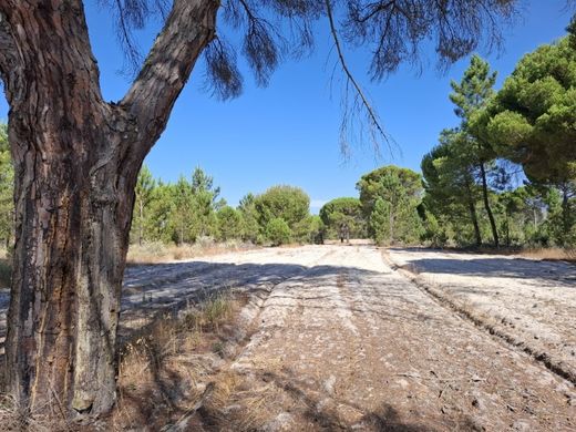 Land in Grândola, Distrito de Setúbal