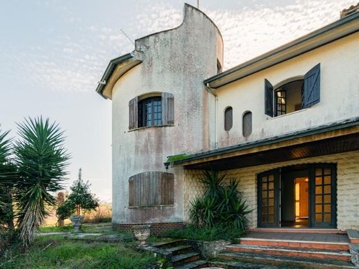 Luxury home in Oliveira do Bairro, Aveiro