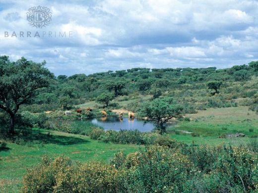 Ourique, Distrito de Bejaの土地