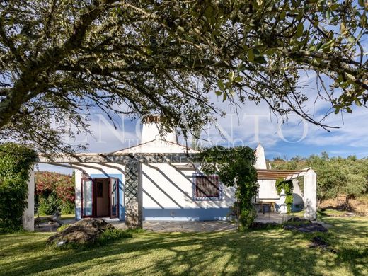 Πολυτελή κατοικία σε Alandroal, Distrito de Évora