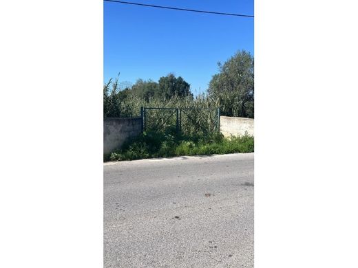 Αγροτεμάχιο σε Faro, Distrito de Faro