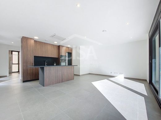 다세대 빌라 / la Massana, La Massana