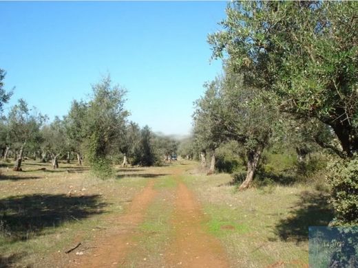 Terreno en Borba, Évora